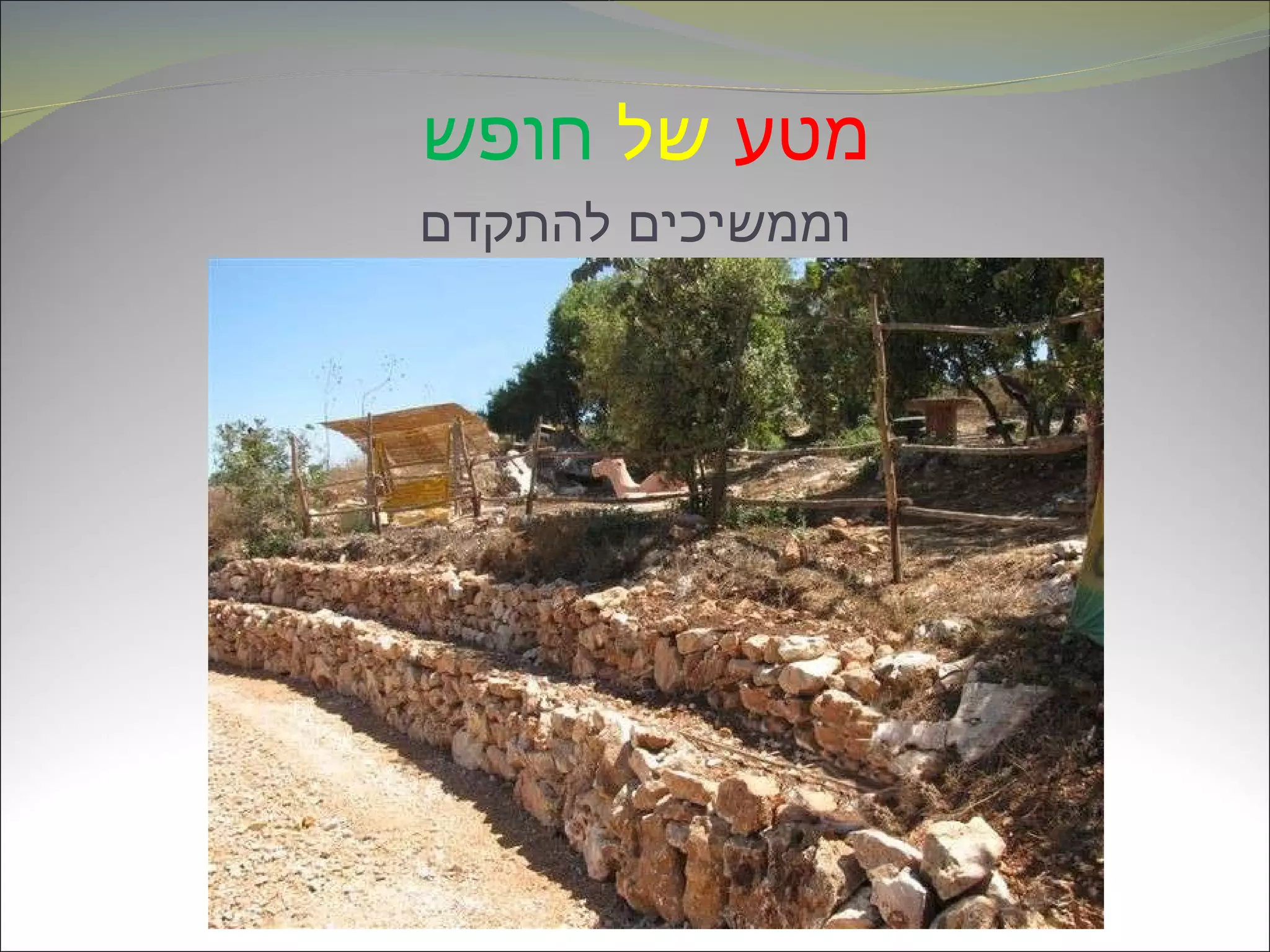 מטע   של   חופש   וממשיכים להתקדם 