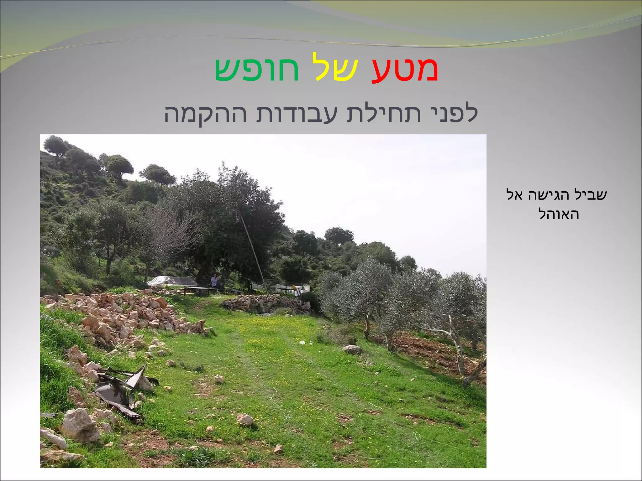 מטע   של   חופש   לפני תחילת עבודות ההקמה שביל הגישה אל האוהל  