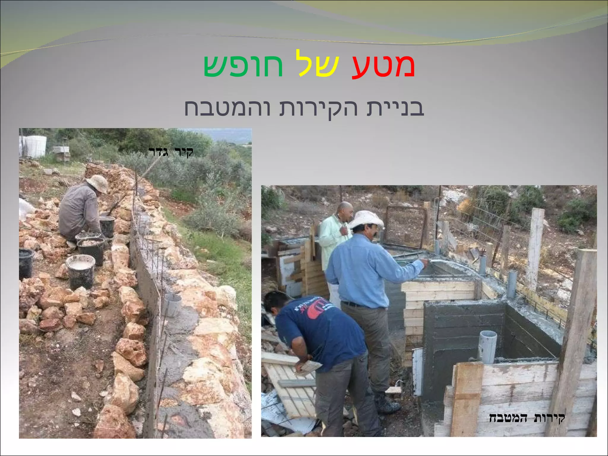 מטע   של   חופש   בניית הקירות והמטבח קירות המטבח קיר גדר 