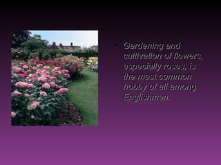 Gardening and cultivation of flowers, especially roses, is the most common hobby of all among Englishmen. 