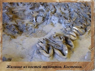 Жилище из костей мамонтов. Костенки. 