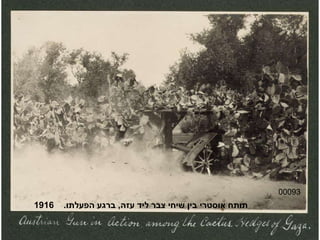 00093 תותח אוסטרי בין שיחי צבר ליד עזה ,  ברגע הפעלתו .  1916 