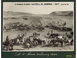 00153 אזור השקיית הסוסים ב  TELL EL SHERIA   (  תל שריעה ).  1917 