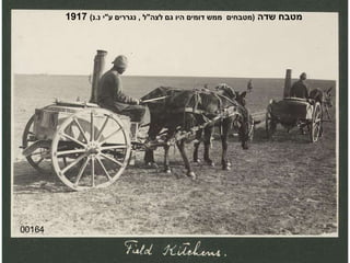00164 מטבח שדה  ( מטבחים  ממש דומים היו גם לצה " ל  ,  נגררים ע " י נ . נ )  1917 