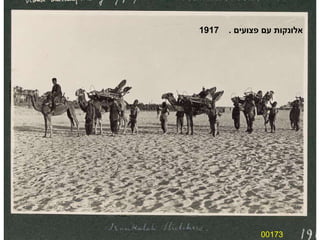 00173 אלונקות עם פצועים  .  1917 