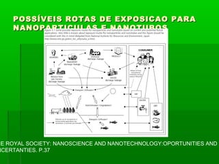 POSSÍVEIS ROTAS DE EXPOSICAO PARA
    NANOPARTICULAS E NANOTUBOS




HE ROYAL SOCIETY: NANOSCIENCE AND NANOTECHNOLOGY:OPORTUNITIES AND
NCERTANTIES. P.37
 