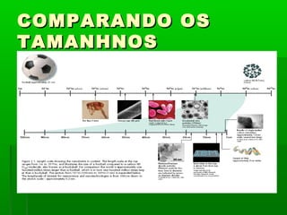 COMPARANDO OS
TAMANHNOS
 