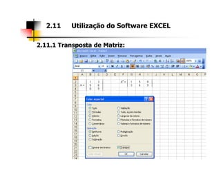2.11.1 Transposta de Matriz:
2.11 Utilização do Software EXCEL
 