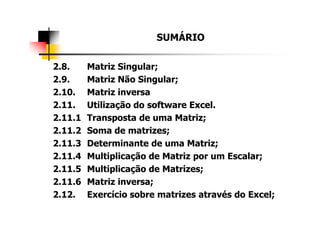 2.8. Matriz Singular;
2.9. Matriz Não Singular;
2.10. Matriz inversa
2.11. Utilização do software Excel.
2.11.1 Transposta de uma Matriz;
SUMÁRIO
2.11.2 Soma de matrizes;
2.11.3 Determinante de uma Matriz;
2.11.4 Multiplicação de Matriz por um Escalar;
2.11.5 Multiplicação de Matrizes;
2.11.6 Matriz inversa;
2.12. Exercício sobre matrizes através do Excel;
 