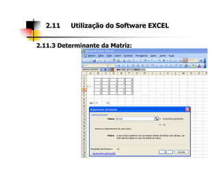 2.11.3 Determinante da Matriz:
2.11 Utilização do Software EXCEL
 