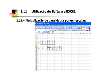 2.11.4 Multiplicação de uma Matriz por um escalar:
2.11 Utilização do Software EXCEL
 