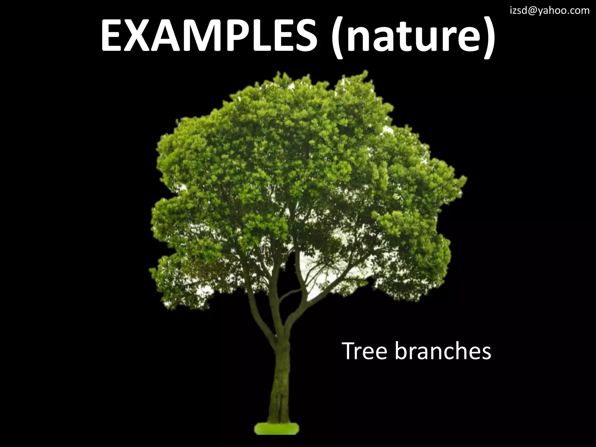 izsd@yahoo.com


EXAMPLES (nature)




          Tree branches
 