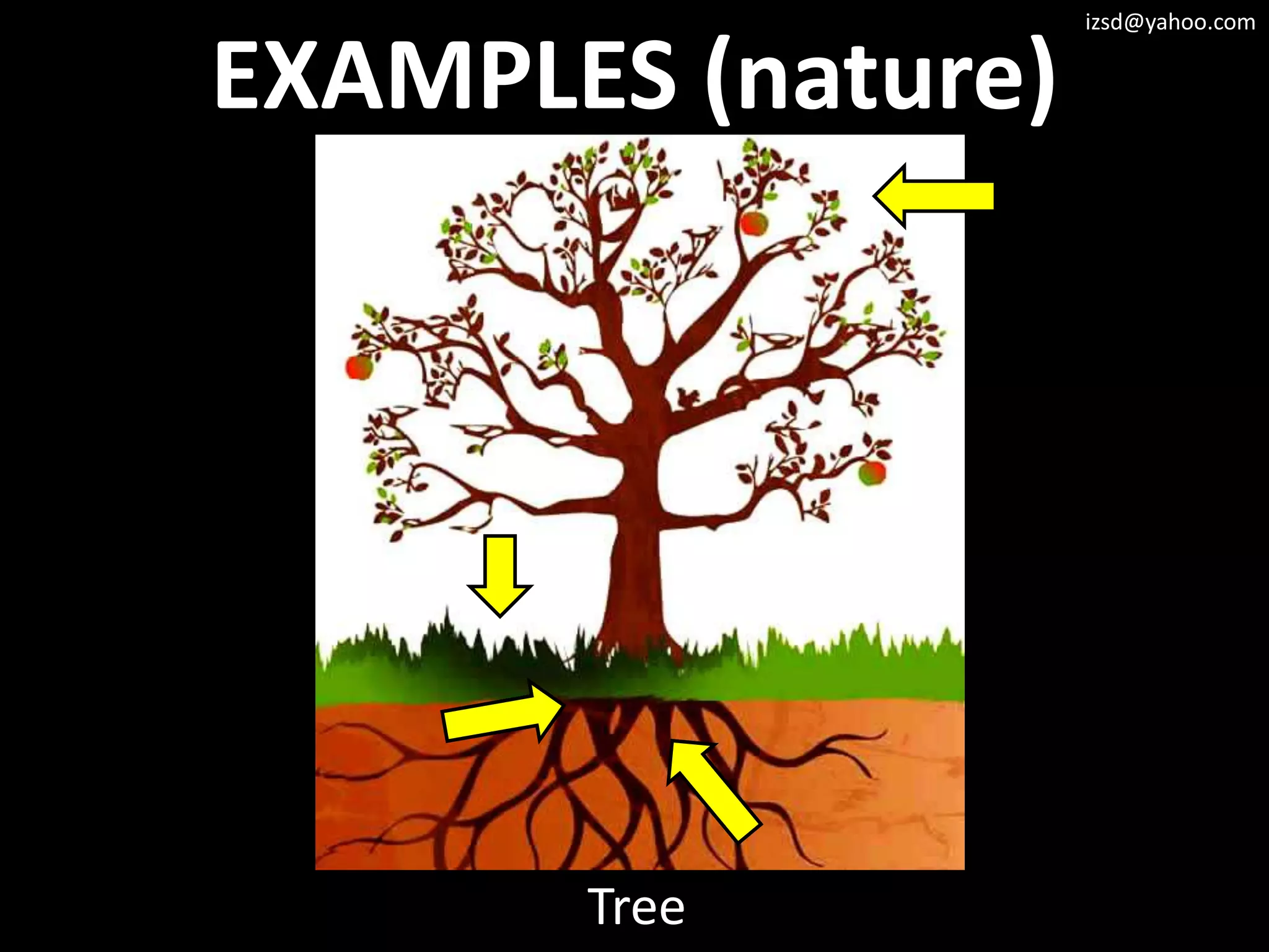 izsd@yahoo.com


EXAMPLES (nature)




       Tree
 
