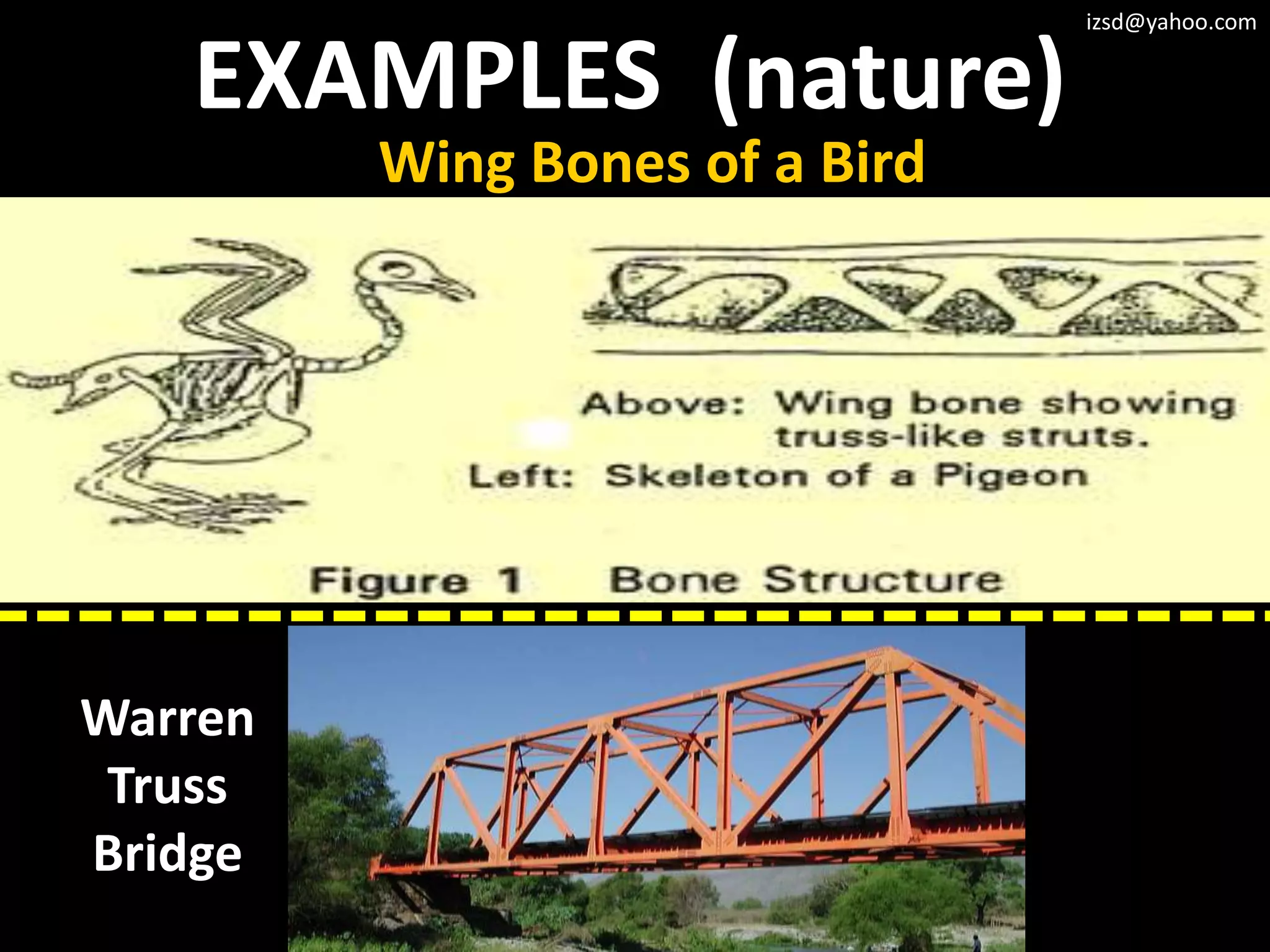 izsd@yahoo.com


   EXAMPLES (nature)
         Wing Bones of a Bird




Warren
 Truss
Bridge
 