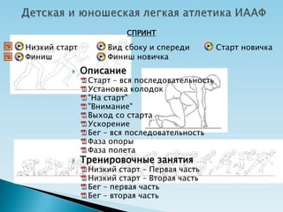 СПРИНТ

Низкий старт        Вид сбоку и спереди          Старт новичка
Финиш               Финиш новичка
              Описание
                Старт – вся последовательность
                Установка колодок
                "На старт"
                "Внимание"
                Выход со старта
                Ускорение
                Бег – вся последовательность
                Фаза опоры
                Фаза полета
              Тренировочные занятия
                Низкий старт – Первая часть
                Низкий старт – Вторая часть
                Бег – первая часть
                Бег – вторая часть
 