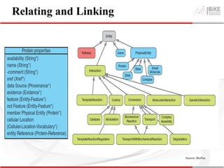 Source: BioPax
Relating and Linking
 