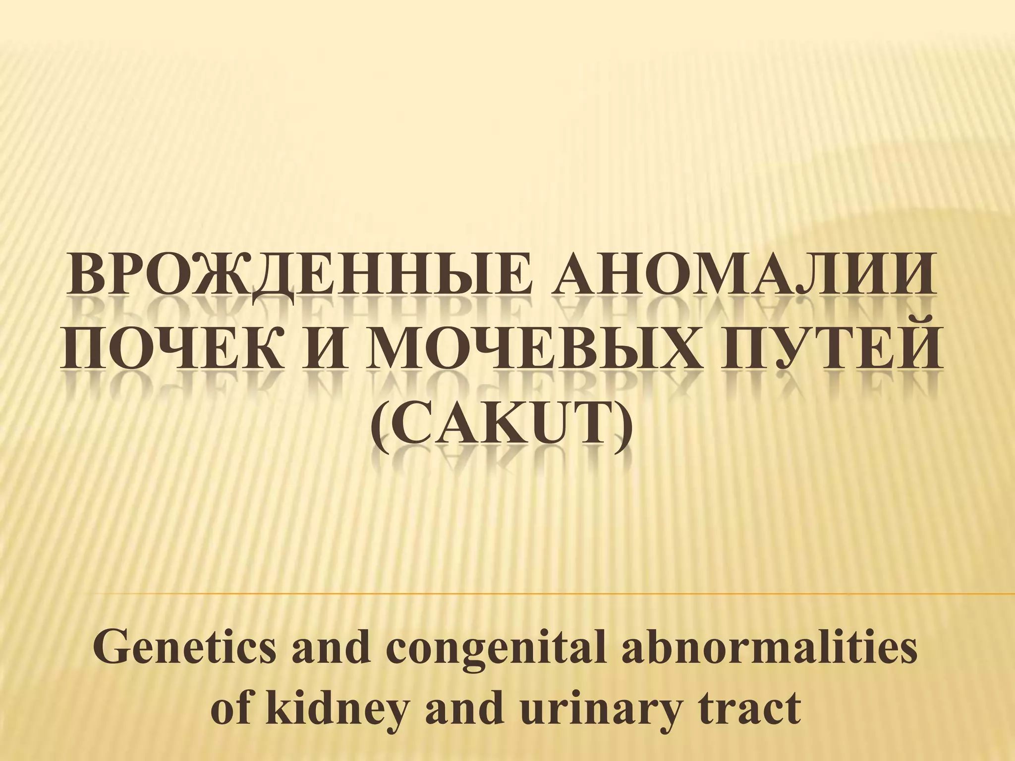2-1. CAKUT. Svetlana Paunova (rus) | PPT
