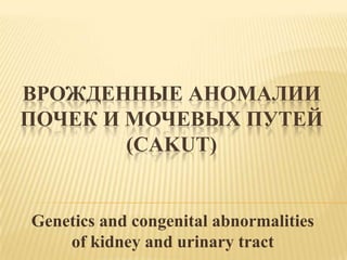 ВРОЖДЕННЫЕ АНОМАЛИИ
ПОЧЕК И МОЧЕВЫХ ПУТЕЙ
(CAKUT)

Genetics and congenital abnormalities
of kidney and urinary tract

 