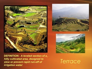 Terrace 
DEFINITION: A leveled section of a 
hilly cultivated area, designed to 
slow or prevent rapid run-off of 
irrigation water 
 