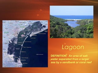 Lagoon 
DEFINITION: An area of salt 
water separated from a larger 
sea by a sandbank or coral reef 
 