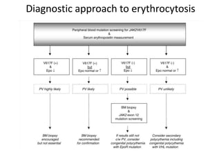 Diagnostic approach to erythrocytosis
 