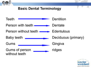 Primaryb Rudge's Comprehensive Introduction to Dentistry and Dental Terminology | PDF