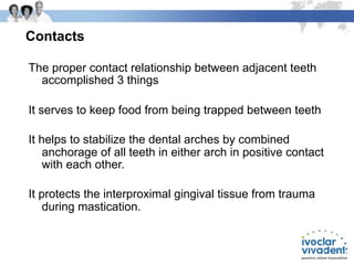 Comprehensive Introduction to Dentistry and Dental Terminology | PDF