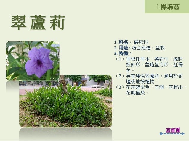 2 1 4 5 二重國小校園植物 2 1 4 5 二重國小校園植物