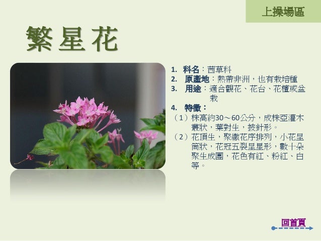 2 1 4 5 二重國小校園植物