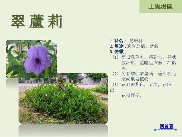 2 1 4 5 二重國小校園植物