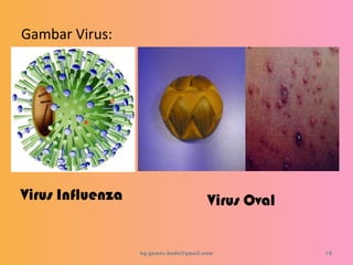 Gambar Virus:
by gomes.hada@gmail.com
Virus Influenza Virus Oval
12
 