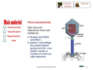 a. Nucleic acid (DNA
and RNA )
b. packer ( camouflage
the protein/kapsid
giving form the virus
pattern contain a
number of small unit
calls kapsomer
Virus characteristic
One virus unit
referred as Virion and
contain by :
head
Internal
protein
sheath
Tail fiber
Characteristic
s
Classification
Reproduction
Role
MaterialLesson
identify
by gomes.hada@gmail.com 41
 