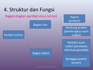 4. Struktur dan Fungsi
Bagian-bagian partikel virus (virion)
by gomes.hada@gmail.com
Partikel (virion)
Bagian luar
Bagian dalam
Kapsid
(protein)
Selubung protein
(pembungkus asam
nuklet)
Molekul asam
nuklet (pembawa
informasi genetika)
Berbagai protein
(enzim)
9
 