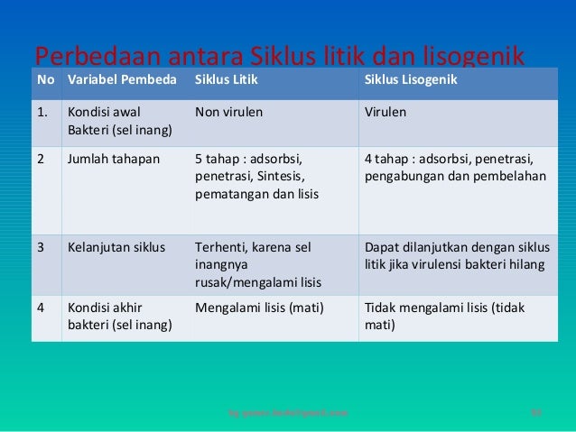2 1 Presentasi Virus