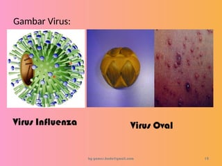 Gambar Virus:
by gomes.hada@gmail.com
Virus Influenza Virus Oval
12
 