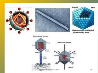 by gomes.hada@gmail.com 13
 