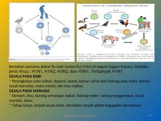 by gomes.hada@gmail.com
Kematian pertama akibat flu babi (swine flu) H1N1 di negara bagian Oaxaca, Meksiko.
Jenis Virus : H1N1, H1N2, H3N2, dan H3N1. Terbanyak H1N1.
GEJALA PADA BABI
* Peningkatan suhu tubuh, depresi, batuk, keluar cairan dari hidung atau mata, bersin,
susah bernafas, mata merah, tak mau makan.
GEJALA PADA MANUSIA
* Demam, lesu, kurang semangat, batuk, hidung meler, radang tenggorokan, mual,
muntah, diare.
* Tahap lanjut, terjadi sesak nafas. Kematian terjadi akibat kegagalan pernafasan.
14
 