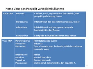 Nama Virus dan Penyakit yang ditimbulkannya
Virus DNA Poxvirus
Herpesvirus
Adenovirus
Papovavirus
Campak, cacar, myxomatosis pada kelinci, dan
penyakit pada burung hantu.
Infeksi Mulut dan alat kelamin manusia, tumor
Infeksi Usus & alat pernapasan manusia,
konjungtivitis, dan Tumor.
Kutil pada manusia dan kanker pada hewan
by gomes.hada@gmail.com
Virus RNA Paramyxovirus
Myxovirus
Retrovirus
Rhabdovirus
Reovirus
Togavirus
Picornavirus
NCD (tetelo pada ayam)
Influenza
Tumor kelenjar susu, leukemia, AIDS dan sarkoma
rous pada ayam
Rabies
Muntah dan diare
Demam berdarah
Infeksi perut, poliomyelitis, dan hepatitis A.
19
 