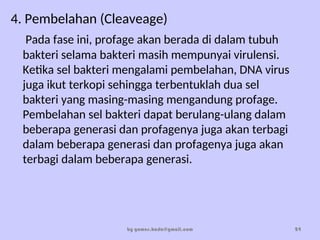 4. Pembelahan (Cleaveage)
Pada fase ini, profage akan berada di dalam tubuh
bakteri selama bakteri masih mempunyai virulensi.
Ketika sel bakteri mengalami pembelahan, DNA virus
juga ikut terkopi sehingga terbentuklah dua sel
bakteri yang masing-masing mengandung profage.
Pembelahan sel bakteri dapat berulang-ulang dalam
beberapa generasi dan profagenya juga akan terbagi
dalam beberapa generasi dan profagenya juga akan
terbagi dalam beberapa generasi.
by gomes.hada@gmail.com 24
 
