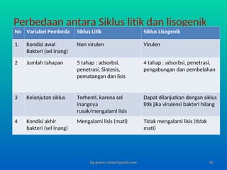 Perbedaan antara Siklus litik dan lisogenik
No Variabel Pembeda Siklus Litik Siklus Lisogenik
1. Kondisi awal
Bakteri (sel inang)
Non virulen Virulen
2 Jumlah tahapan 5 tahap : adsorbsi,
penetrasi, Sintesis,
pematangan dan lisis
4 tahap : adsorbsi, penetrasi,
pengabungan dan pembelahan
3 Kelanjutan siklus Terhenti, karena sel
inangnya
rusak/mengalami lisis
Dapat dilanjutkan dengan siklus
litik jika virulensi bakteri hilang
4 Kondisi akhir
bakteri (sel inang)
Mengalami lisis (mati) Tidak mengalami lisis (tidak
mati)
by gomes.hada@gmail.com 25
 