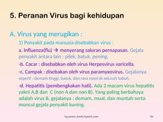 5. Peranan Virus bagi kehidupan
A. Virus yang merugikan :
1) Penyakit pada manusia disebabkan virus :
a. Influenza(flu)  menyerang saluran pernapasan. Gejala
penyakit antara lain : pilek, batuk, pening.
-b. Cacar : disebabkan oleh virus Herpesvirus varicella.
-c. Campak : disebakan oleh virus paramyxovirus. Gejalanya
seperti : demam tinggi, batuk, dan rasa nyeri di seluruh tubuh.
-d. Hepatitis (pembengkakan hati). Ada 3 macam virus hepatitis
yakni A,B dan C (non A dan non B). Yang paling berbahaya
adalah virus B, gejalanya : demam, mual, dan muntah serta
muncul gejala penyakit kuning.
by gomes.hada@gmail.com 26
 