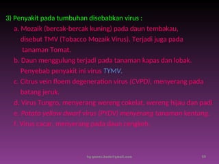 3) Penyakit pada tumbuhan disebabkan virus :
a. Mozaik (bercak-bercak kuning) pada daun tembakau,
disebut TMV (Tobacco Mozaik Virus). Terjadi juga pada
tanaman Tomat.
b. Daun menggulung terjadi pada tanaman kapas dan lobak.
Penyebab penyakit ini virus TYMV.
c. Citrus vein floem degeneration virus (CVPD), menyerang pada
batang jeruk.
d. Virus Tungro, menyerang wereng cokelat, wereng hijau dan padi
e. Potato yellow dwarf virus (PYDV) menyerang tanaman kentang.
f. Virus cacar, menyerang pada daun cengkeh.
by gomes.hada@gmail.com 29
 