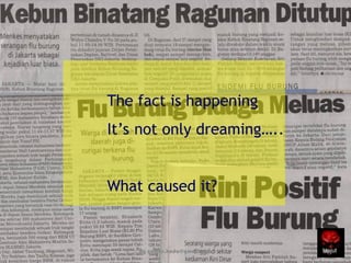 The fact is happening
It’s not only dreaming…..
What caused it?
lanjut
by gomes.hada@gmail.com 36
 