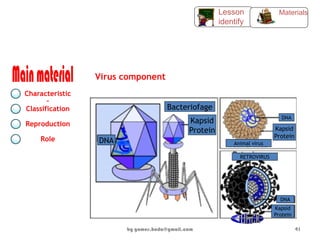 Virus component
Characteristic
s
Classification
Reproduction
Role
Materials
Lesson
identify
Bacteriofage
Kapsid
Protein
DNA Animal virus
Kapsid
Protein
DNA
DNA
Kapsid
Protein
RETROVIRUS
by gomes.hada@gmail.com 41
 