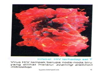 by gomes.hada@gmail.com 43
 