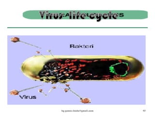 by gomes.hada@gmail.com 47
 