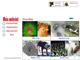 Virus Role
RSV virus Madcow virus
Rabies virus Avian virus
Characteristic
Classification
Reproduction
i
Role
Materials
Lesson
identify
by gomes.hada@gmail.com
52
 
