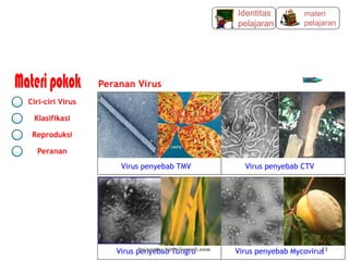 Peranan Virus
Virus penyebab TMV Virus penyebab CTV
Virus penyebab Tungro Virus penyebab Mycovirus
Ciri-ciri Virus
Klasifikasi
Reproduksi
Peranan
materi
pelajaran
Identitas
pelajaran
by gomes.hada@gmail.com 53
 