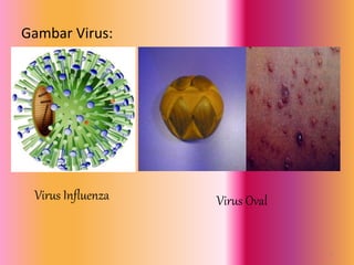 Gambar Virus:
Virus Influenza Virus Oval
12
 