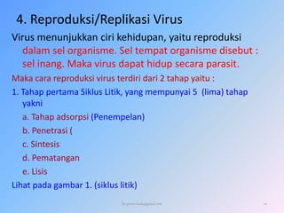 4. Reproduksi/Replikasi Virus
Virus menunjukkan ciri kehidupan, yaitu reproduksi
dalam sel organisme. Sel tempat organisme disebut :
sel inang. Maka virus dapat hidup secara parasit.
Maka cara reproduksi virus terdiri dari 2 tahap yaitu :
1. Tahap pertama Siklus Litik, yang mempunyai 5 (lima) tahap
yakni :
a. Tahap adsorpsi (Penempelan)
b. Penetrasi (
c. Sintesis
d. Pematangan
e. Lisis
Lihat pada gambar 1. (siklus litik)
by gomes.hada@gmail.com 20
 